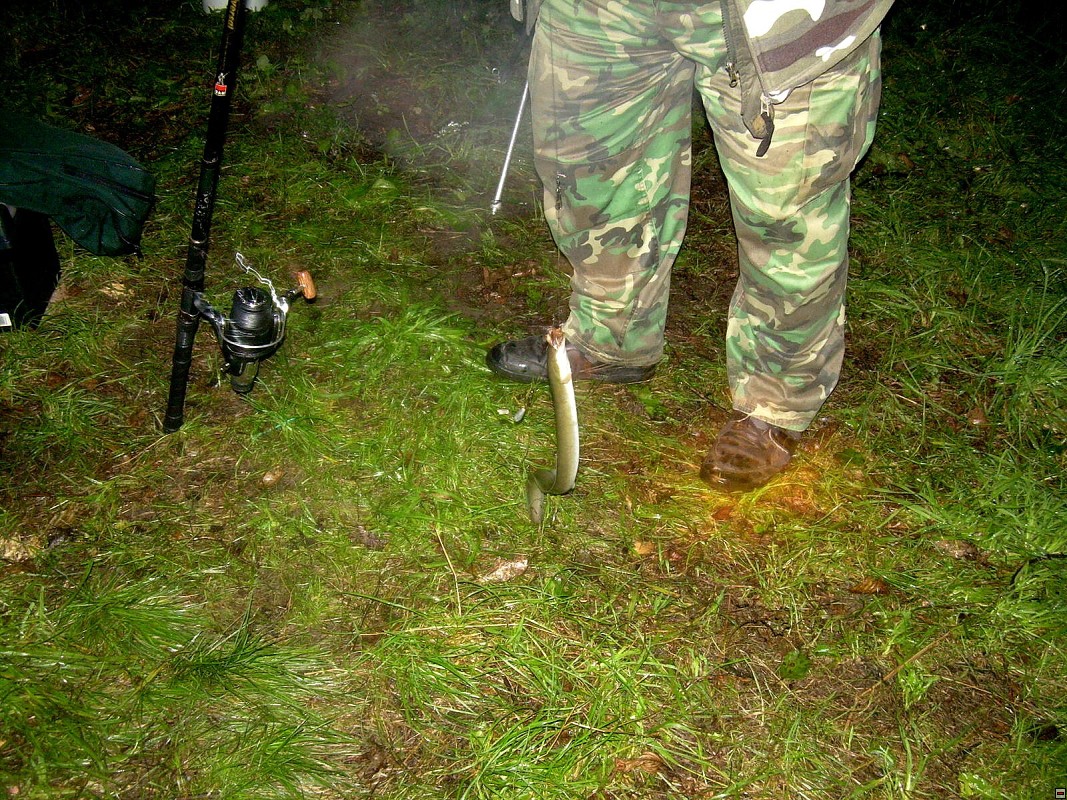img00017.jpg