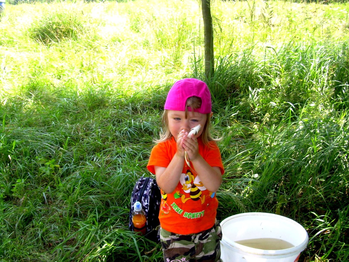 Jindřiš 14.7.2009.