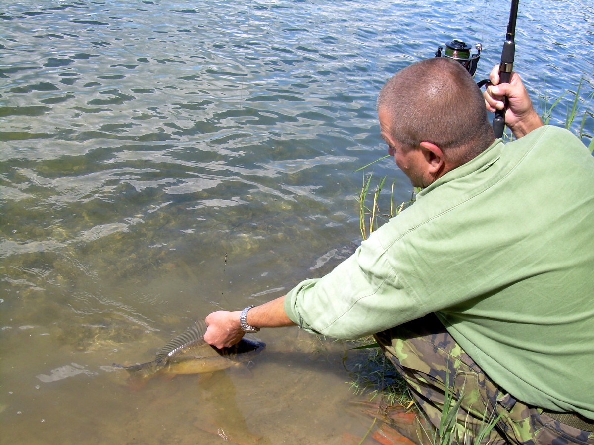 Jindřiš 16.6.2009.