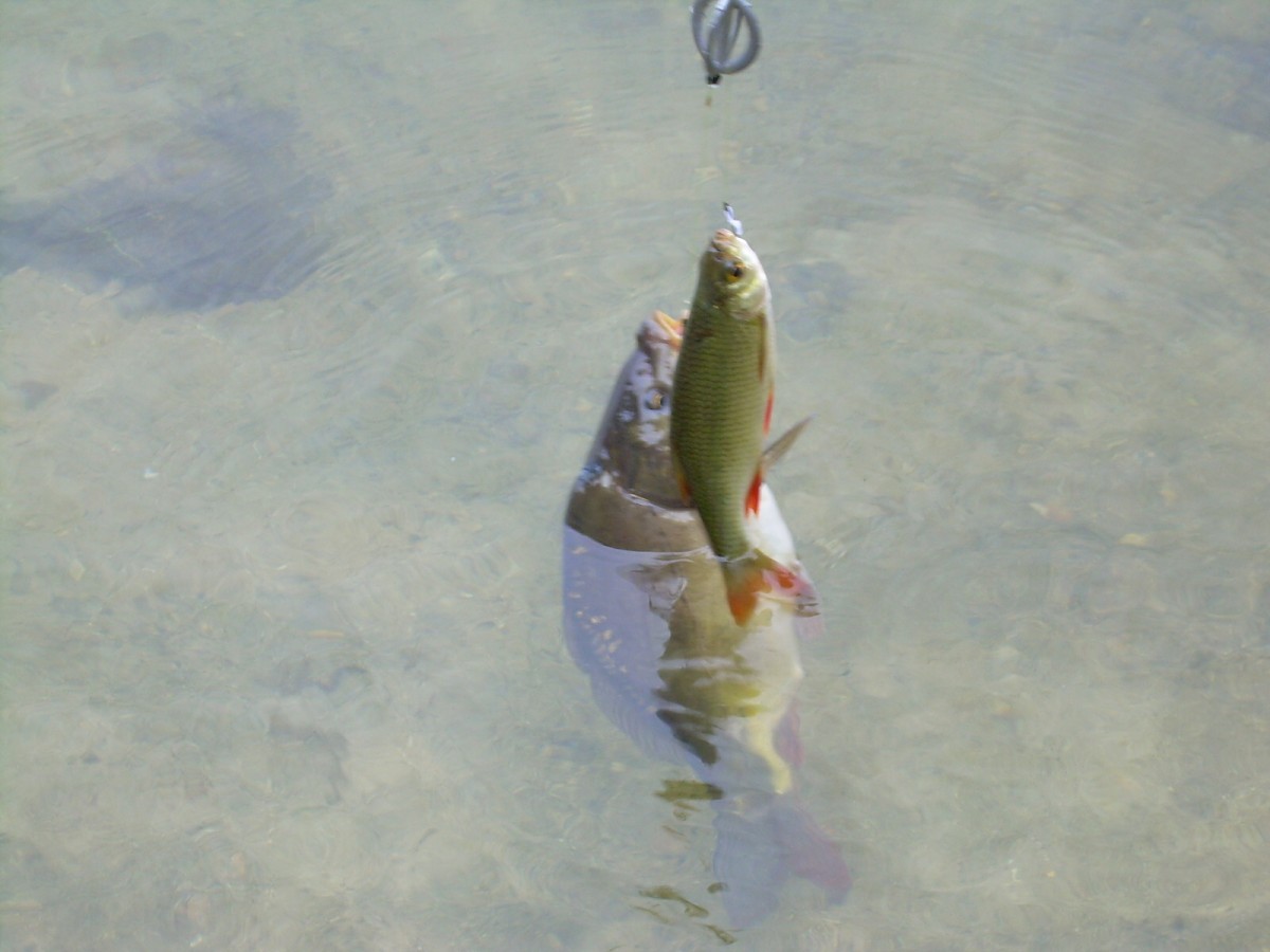 Jindřiš 22.Května