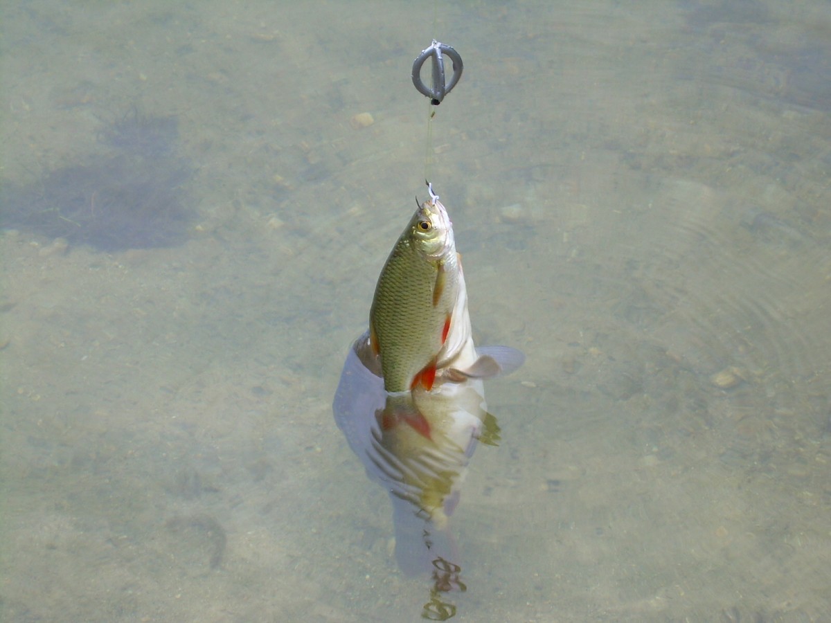 Jindřiš 22.Května