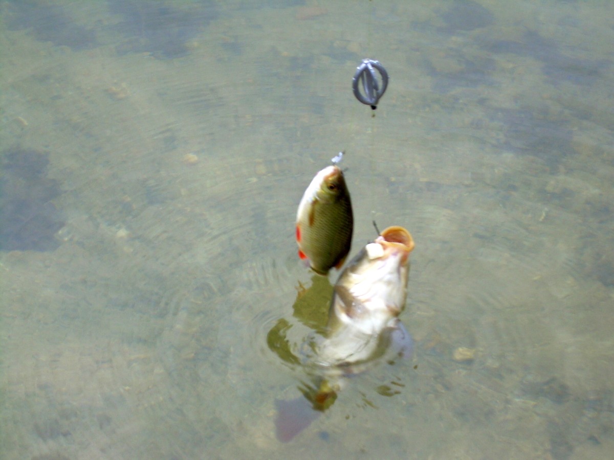 Jindřiš 22.Května