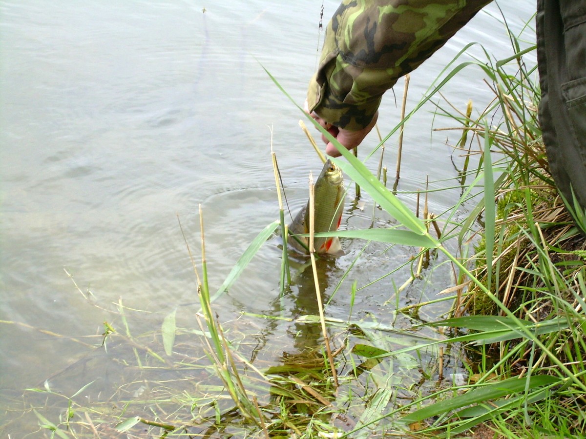 Jindřiš 22.Května