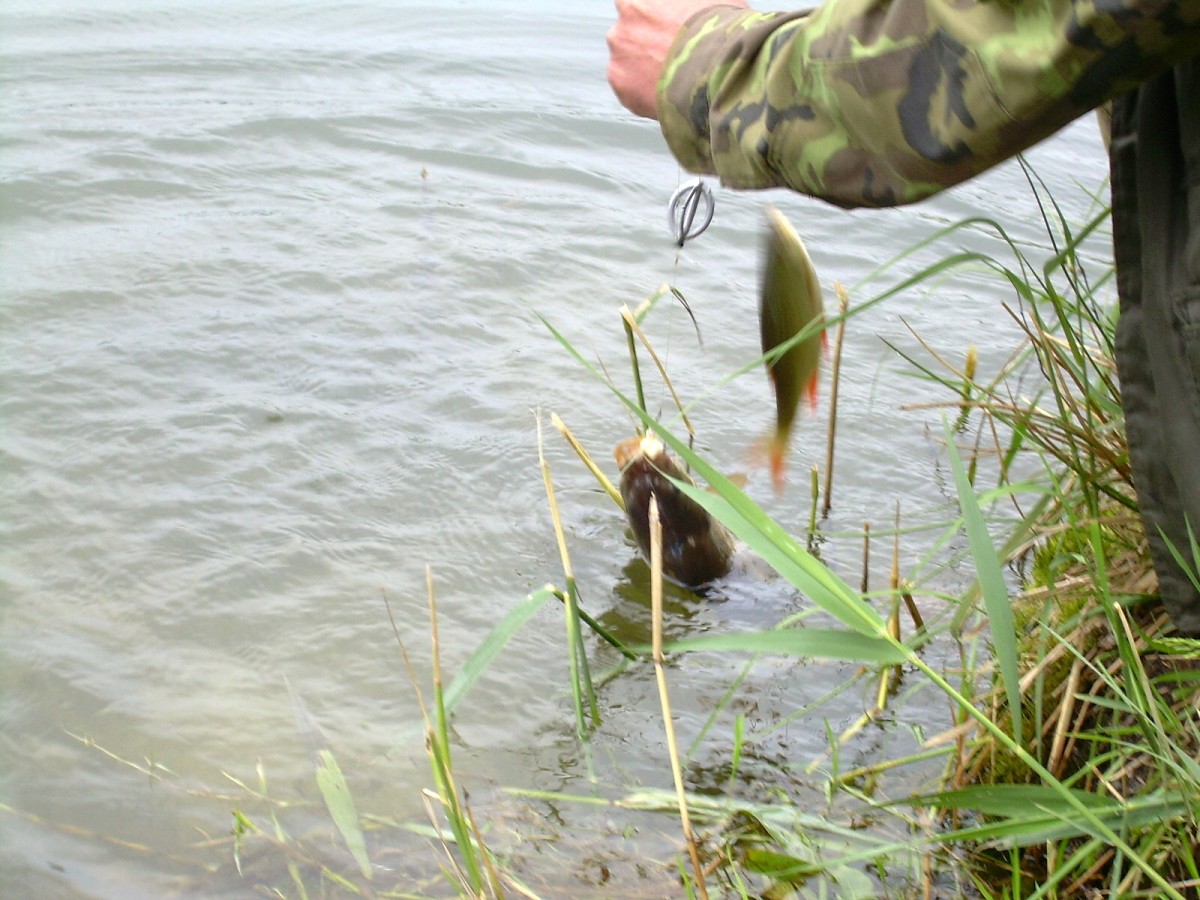 Jindřiš 22.Května