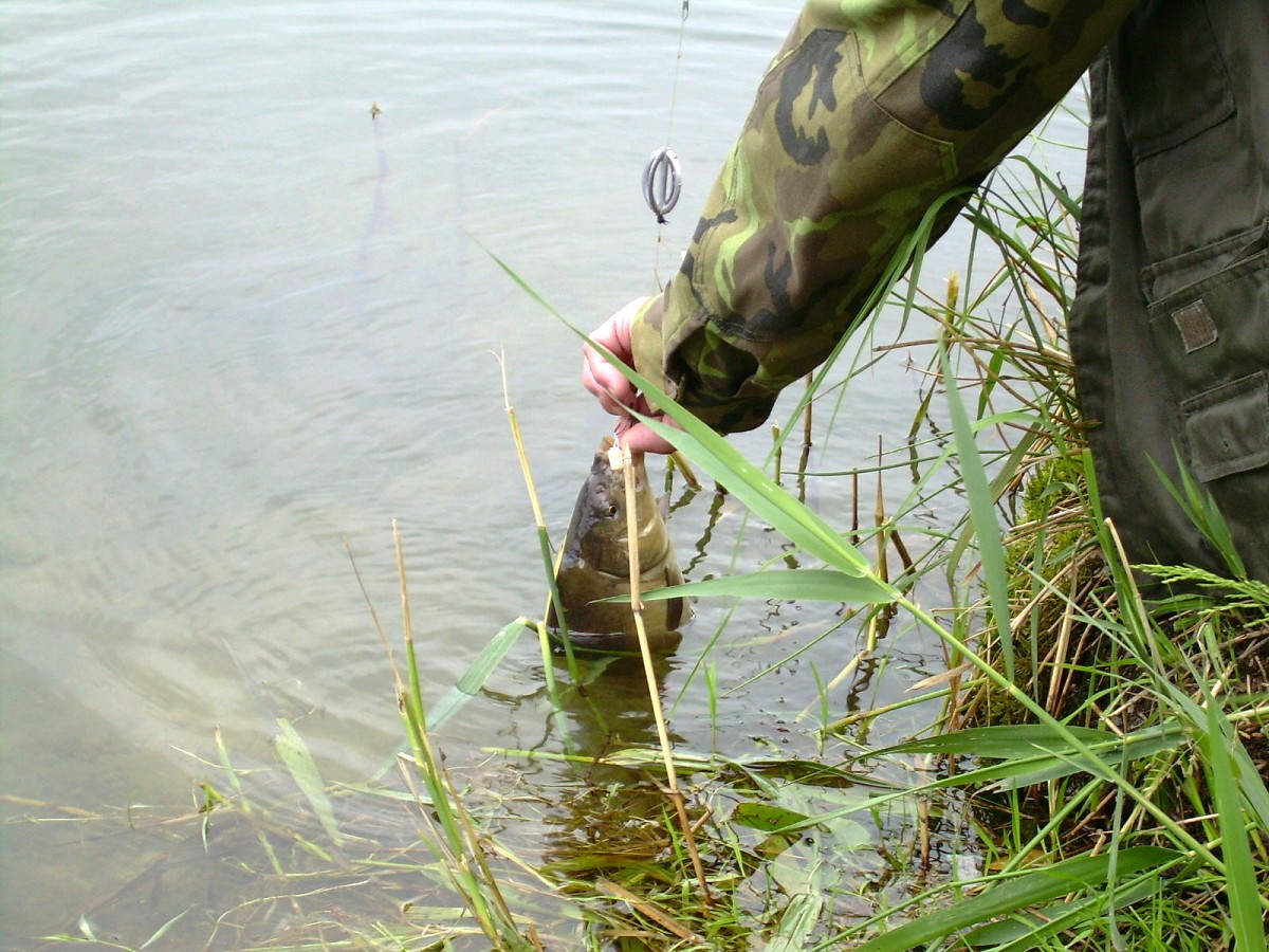 Jindřiš 22.Května