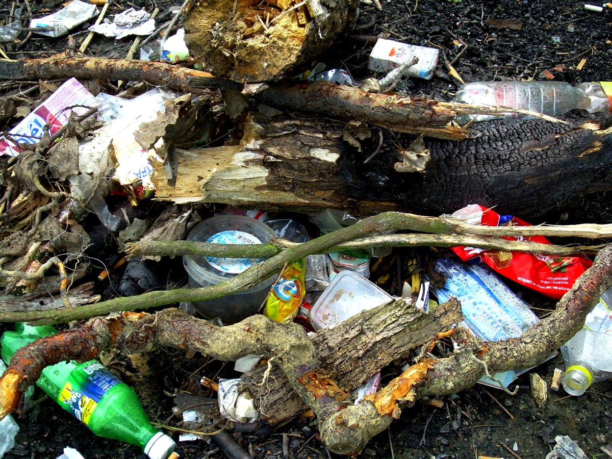 Jindřiš 27.7.2009.