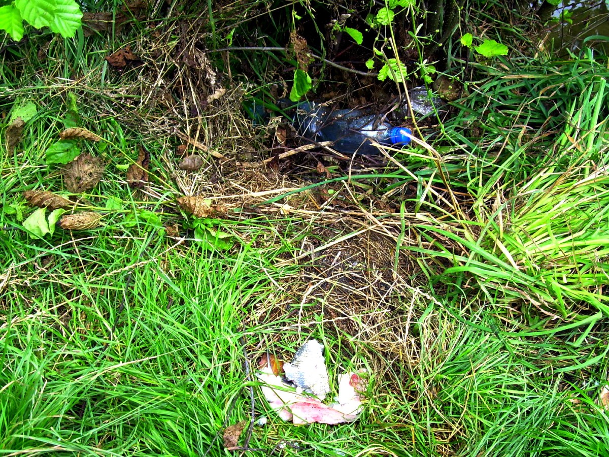 Jindřiš 27.7.2009.