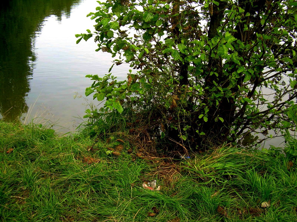 Jindřiš 27.7.2009.