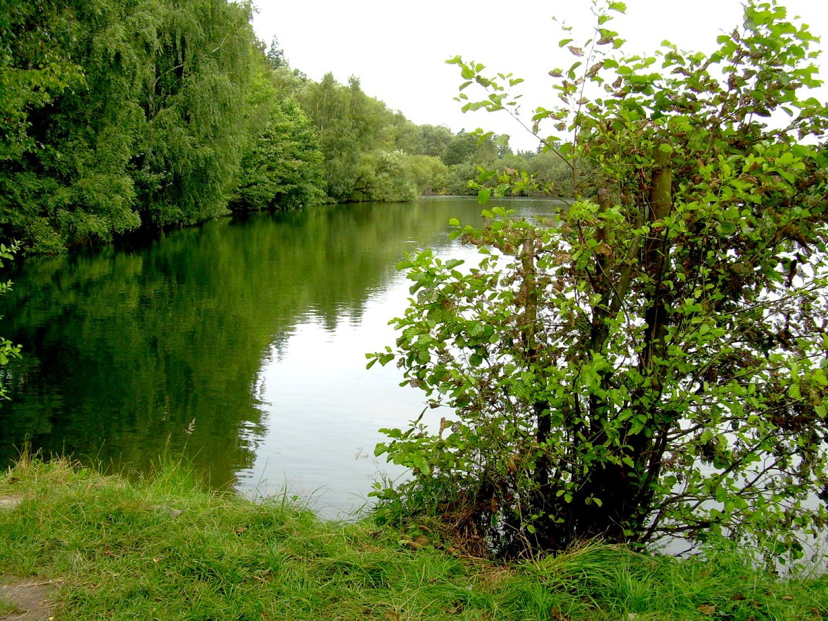 Jindřiš 27.7.2009.