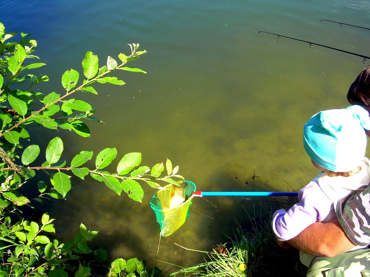 Jindřiš 27.7.2009.