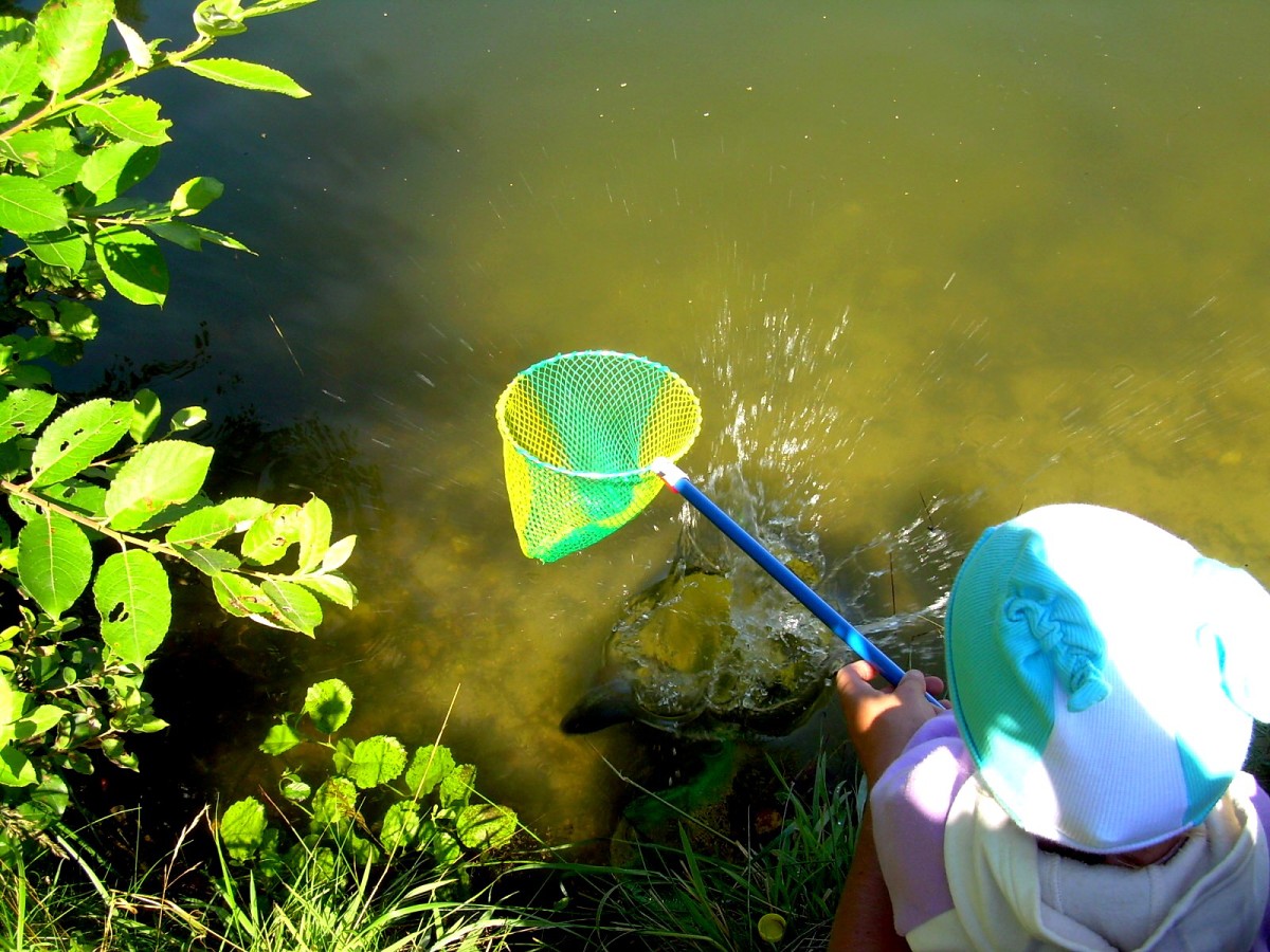 Jindřiš 27.7.2009.