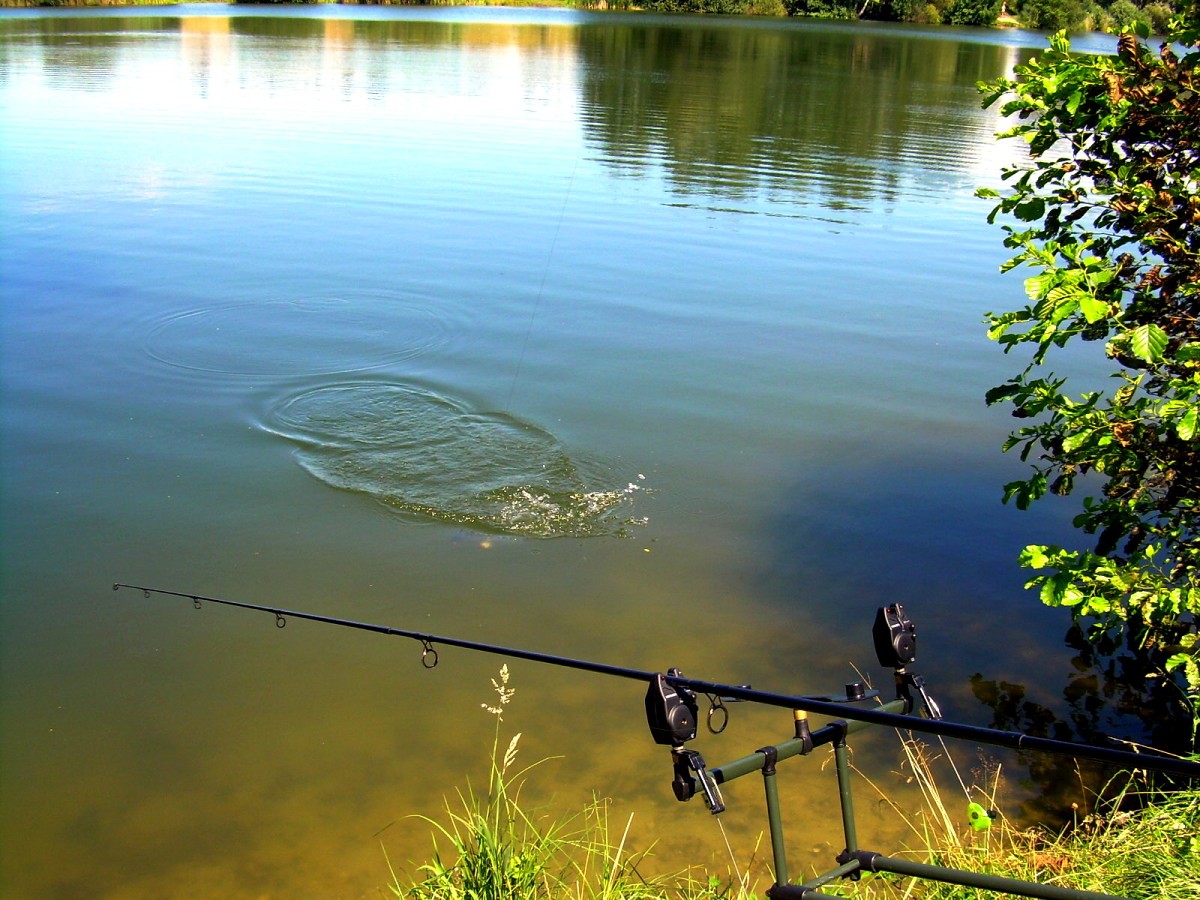 Jindřiš 27.7.2009.