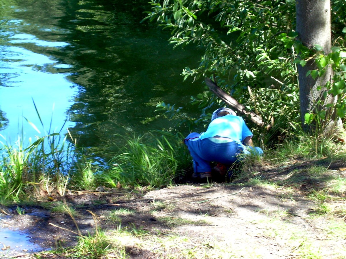 Jindřiš 27.7.2009.