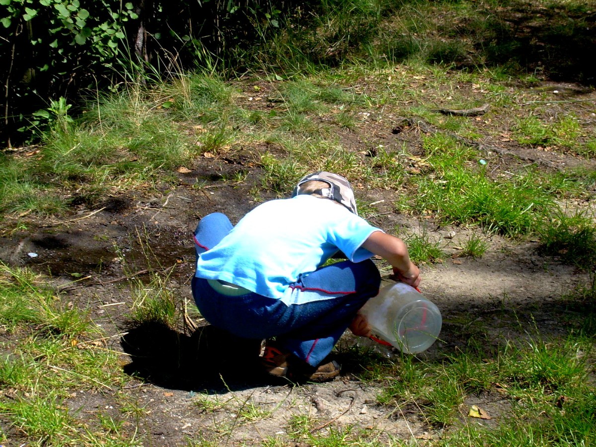 Jindřiš 27.7.2009.