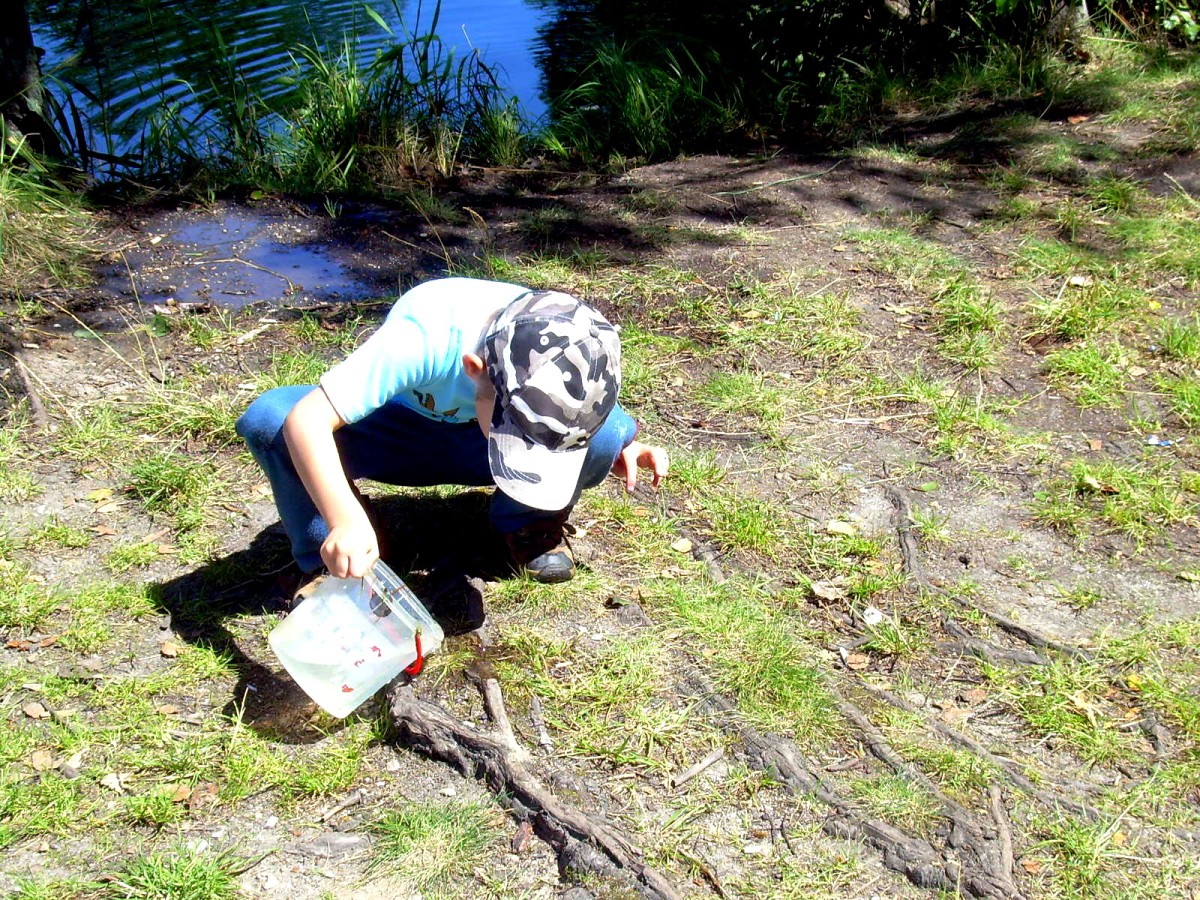 Jindřiš 27.7.2009.