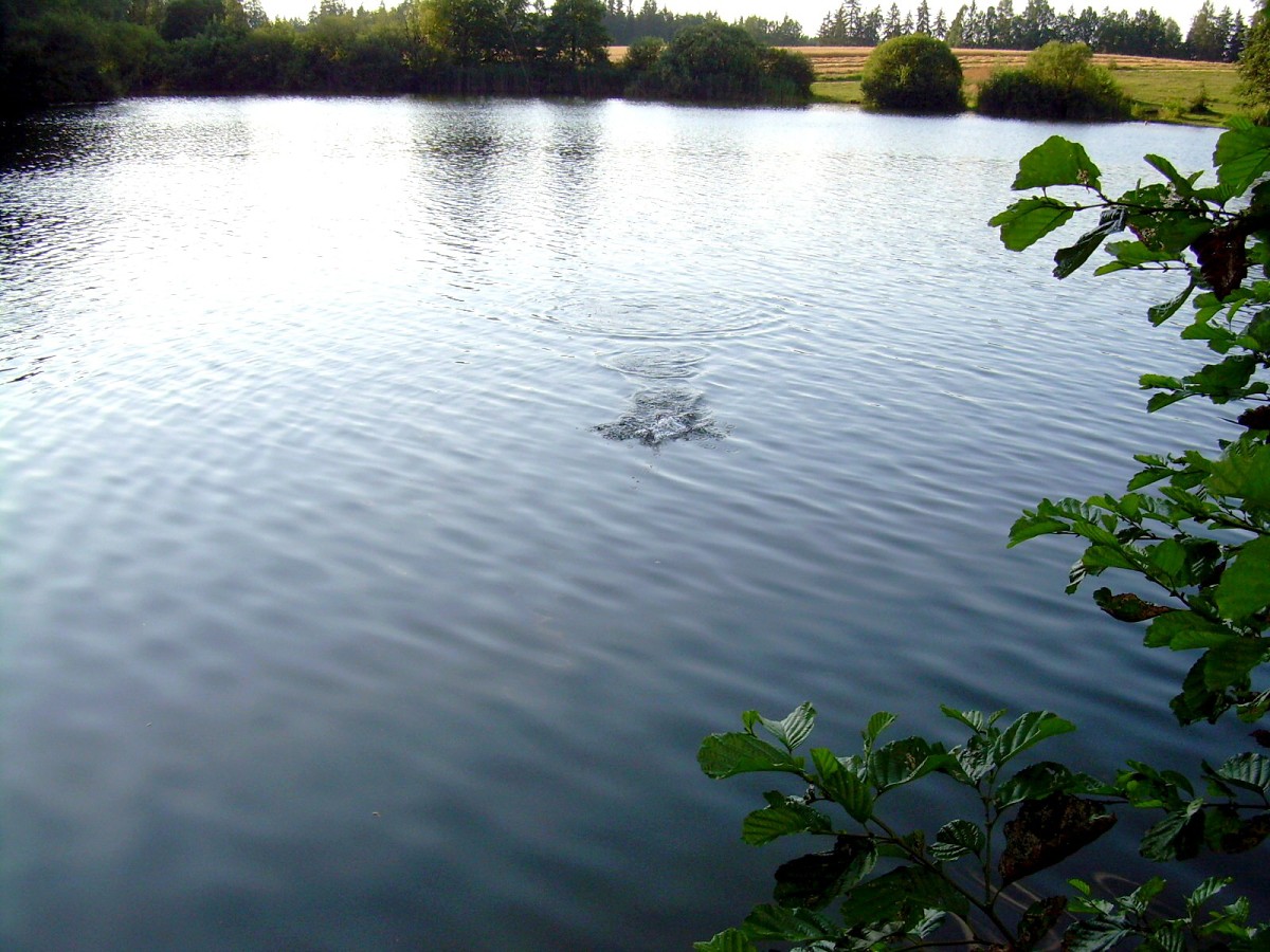 Jindřiš 6.-7.8.2009.