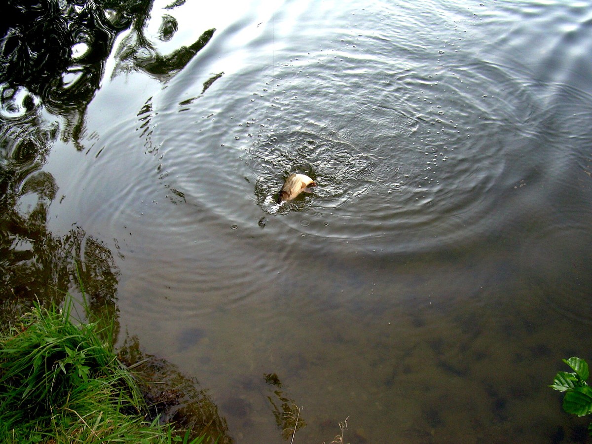 Jindřiš 6.-7.8.2009.