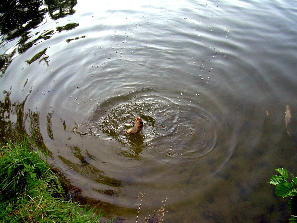 Jindřiš 6.-7.8.2009.