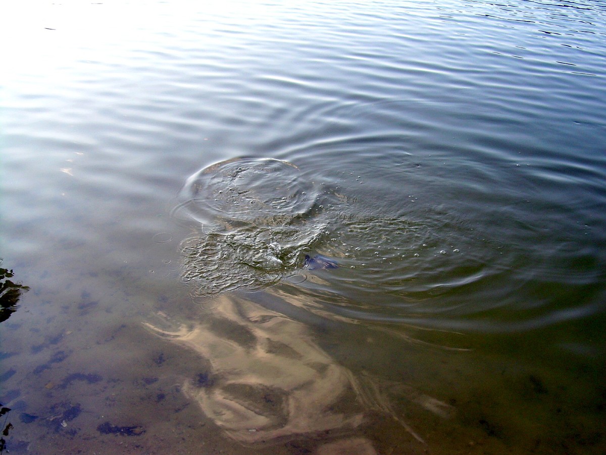 Jindřiš 6.-7.8.2009.