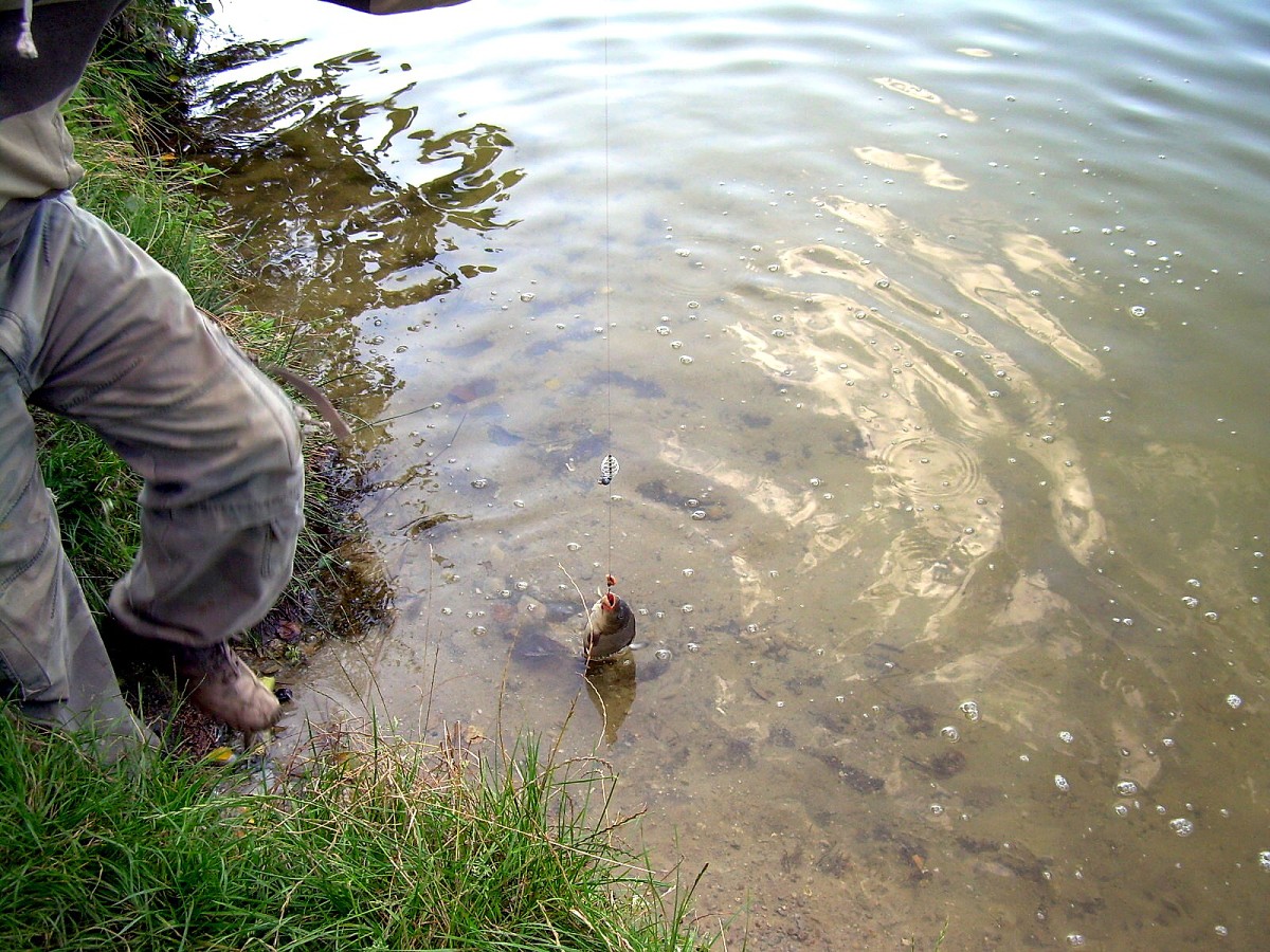 Jindřiš 6.-7.8.2009.