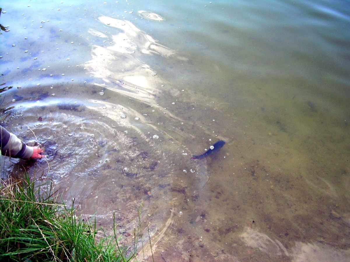 Jindřiš 6.-7.8.2009.