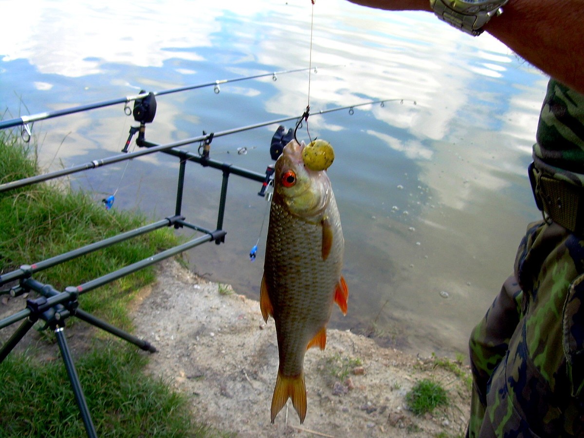 Jindřiš 6.-7.8.2009.