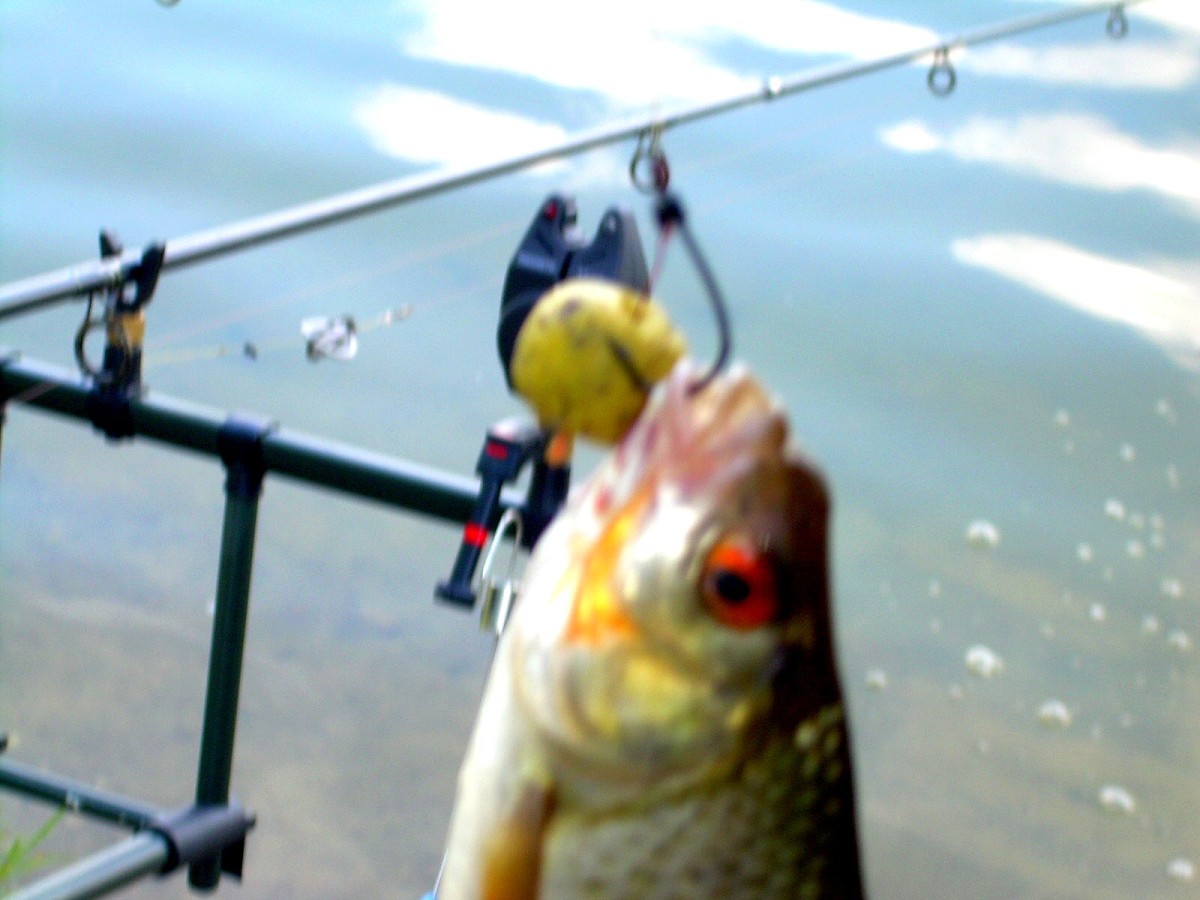 Jindřiš 6.-7.8.2009.