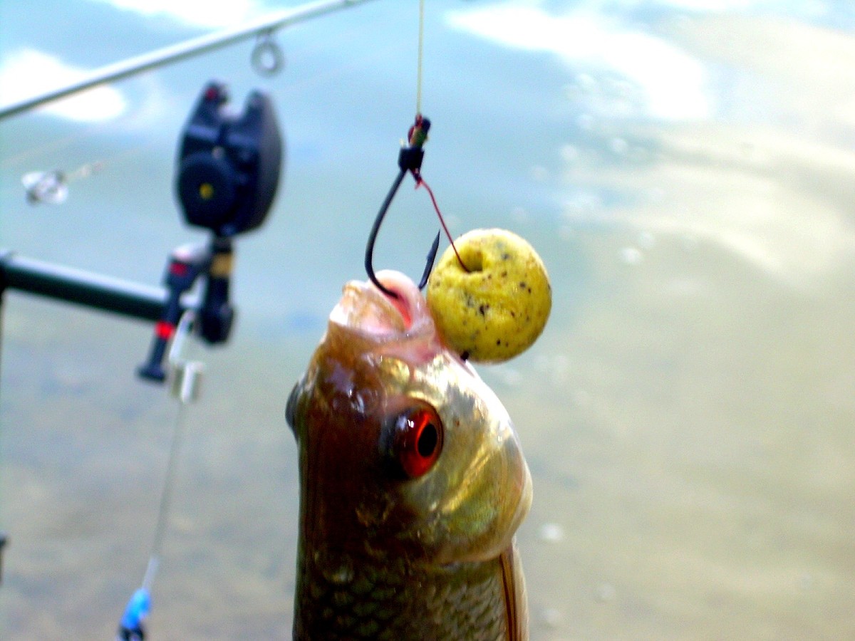 Jindřiš 6.-7.8.2009.