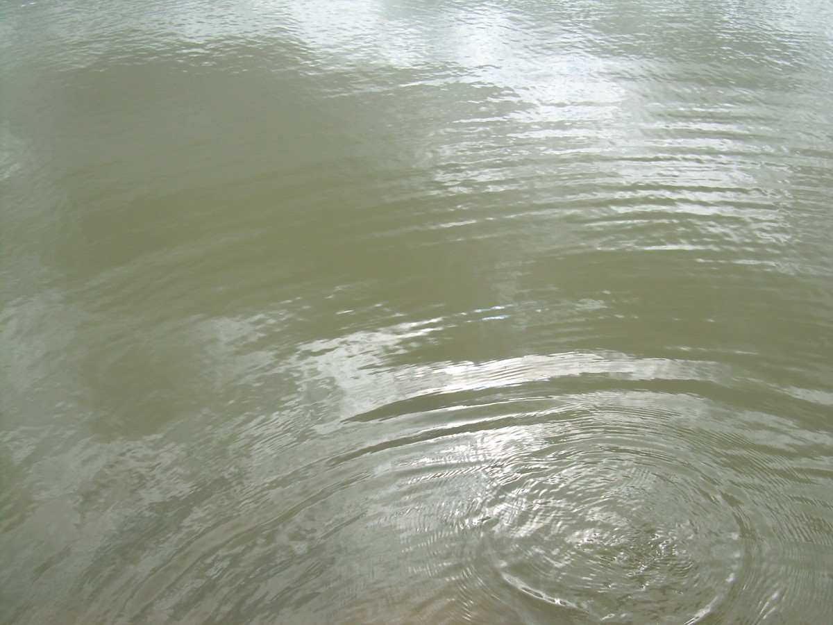 Kanclíř 15-16.6.2009.