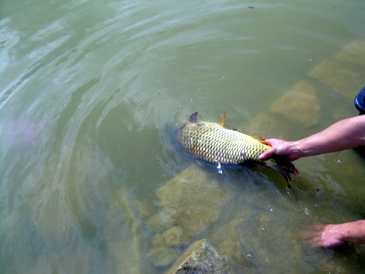 Kanclíř 15-16.6.2009.