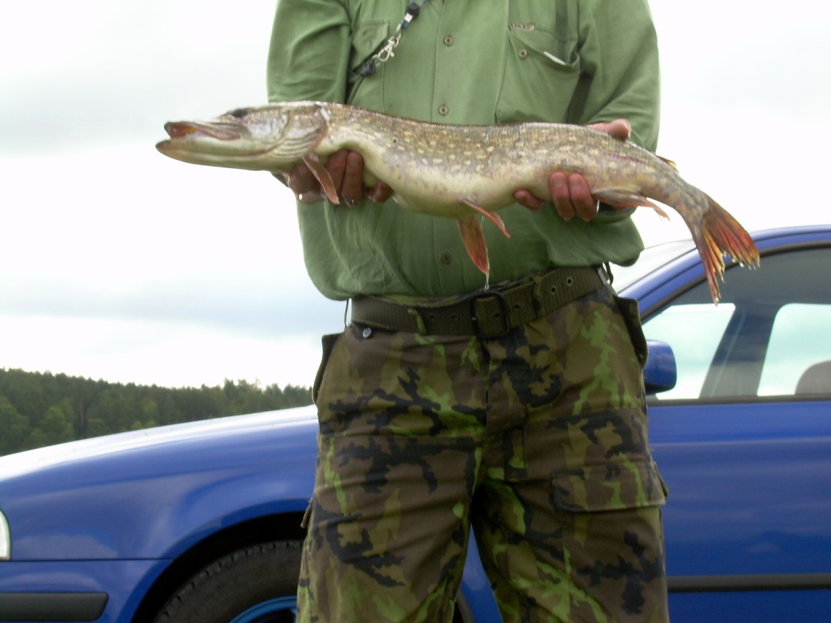 Kanclíř 15-16.6.2009.