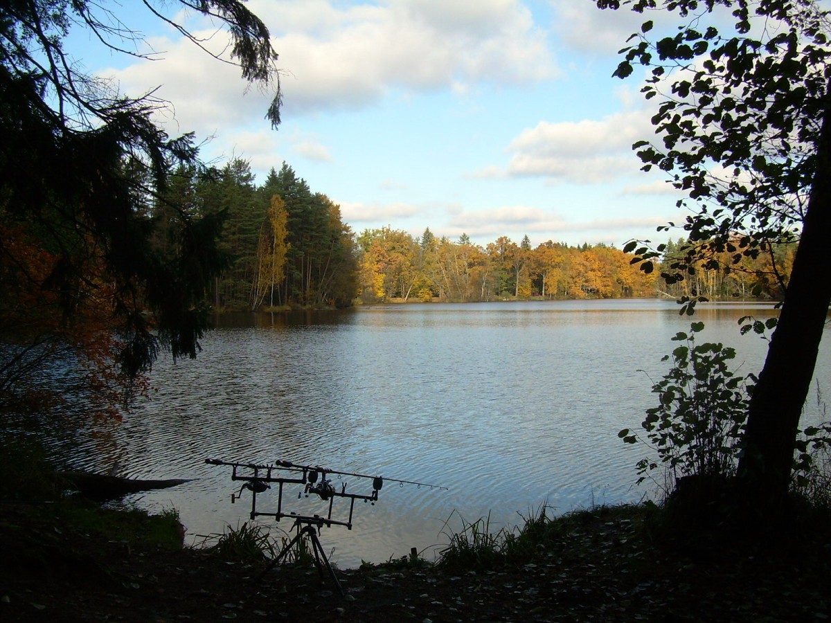 Kanclíř 30.10.2009.