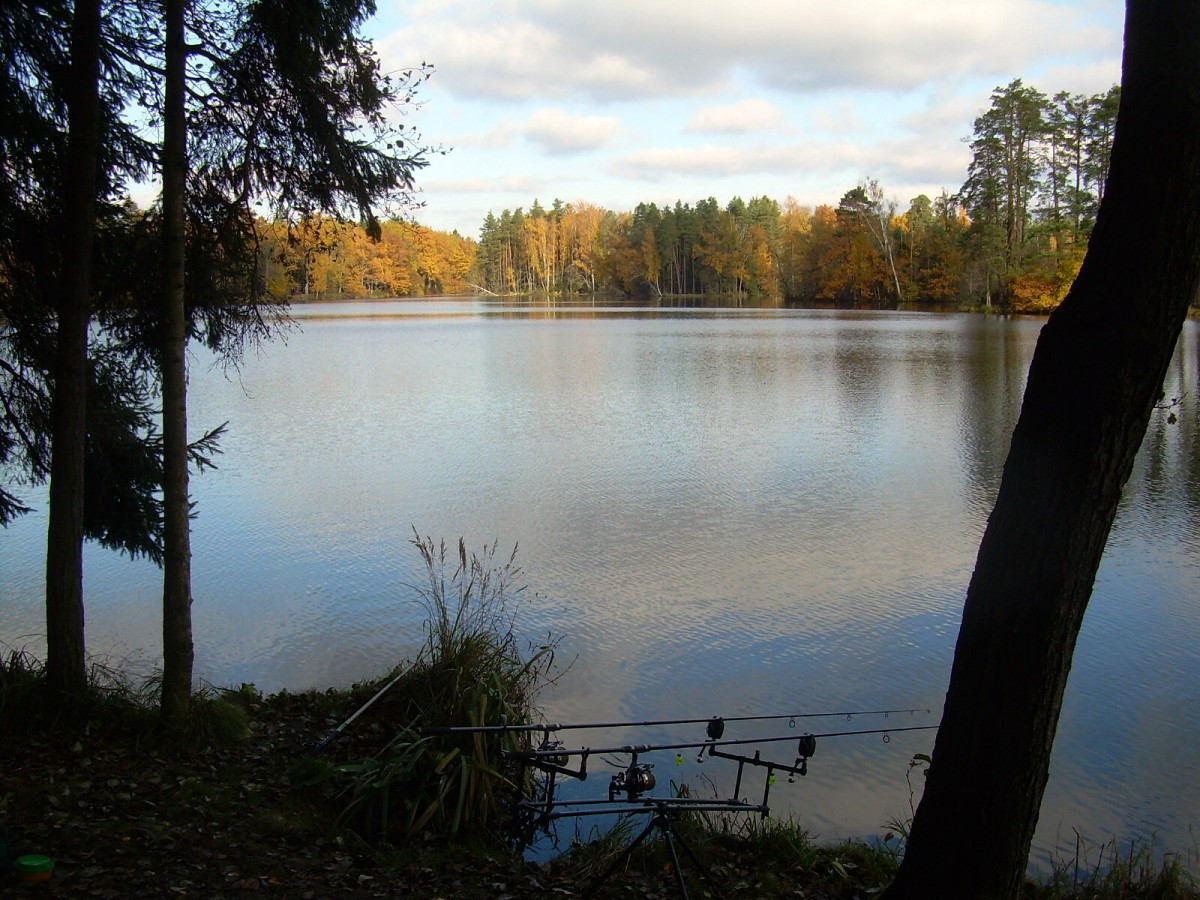 Kanclíř 30.10.2009.