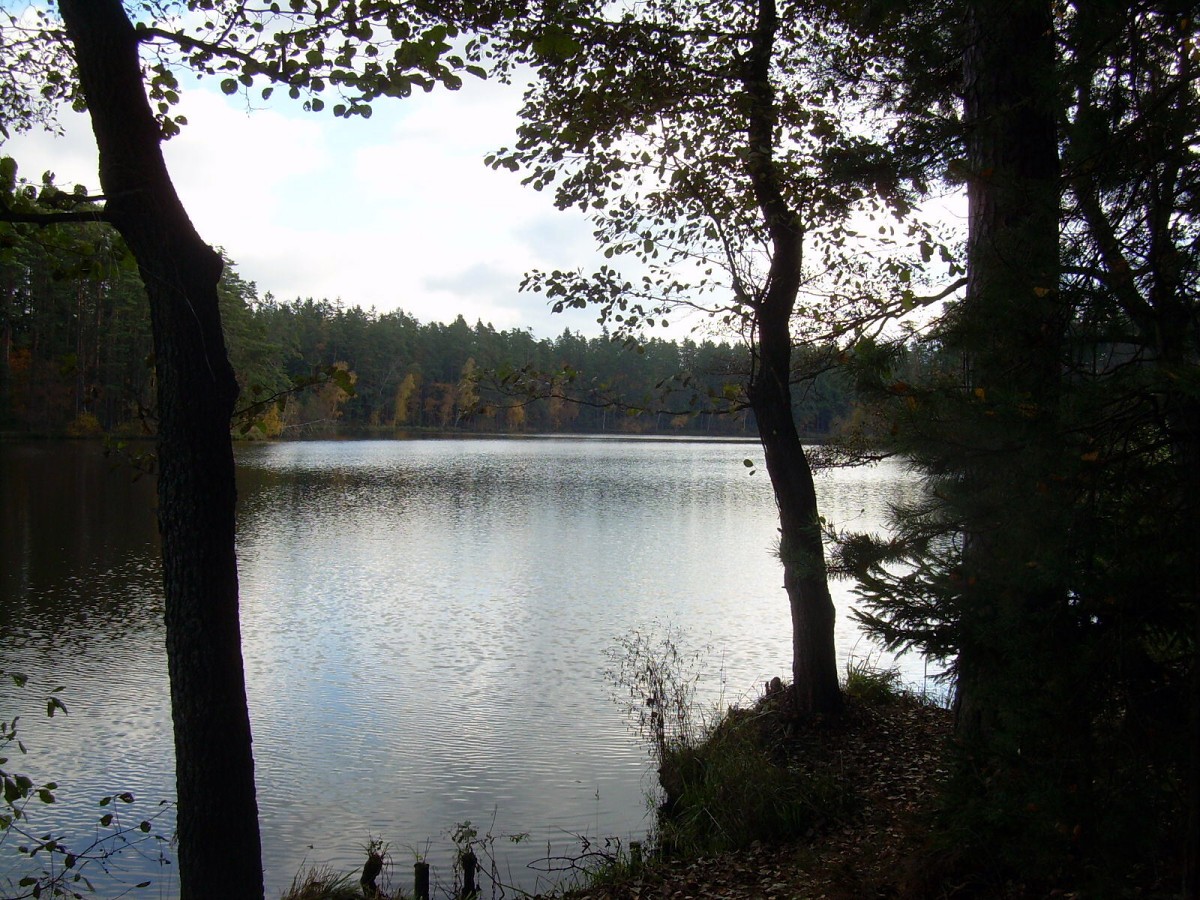 Kanclíř 30.10.2009.