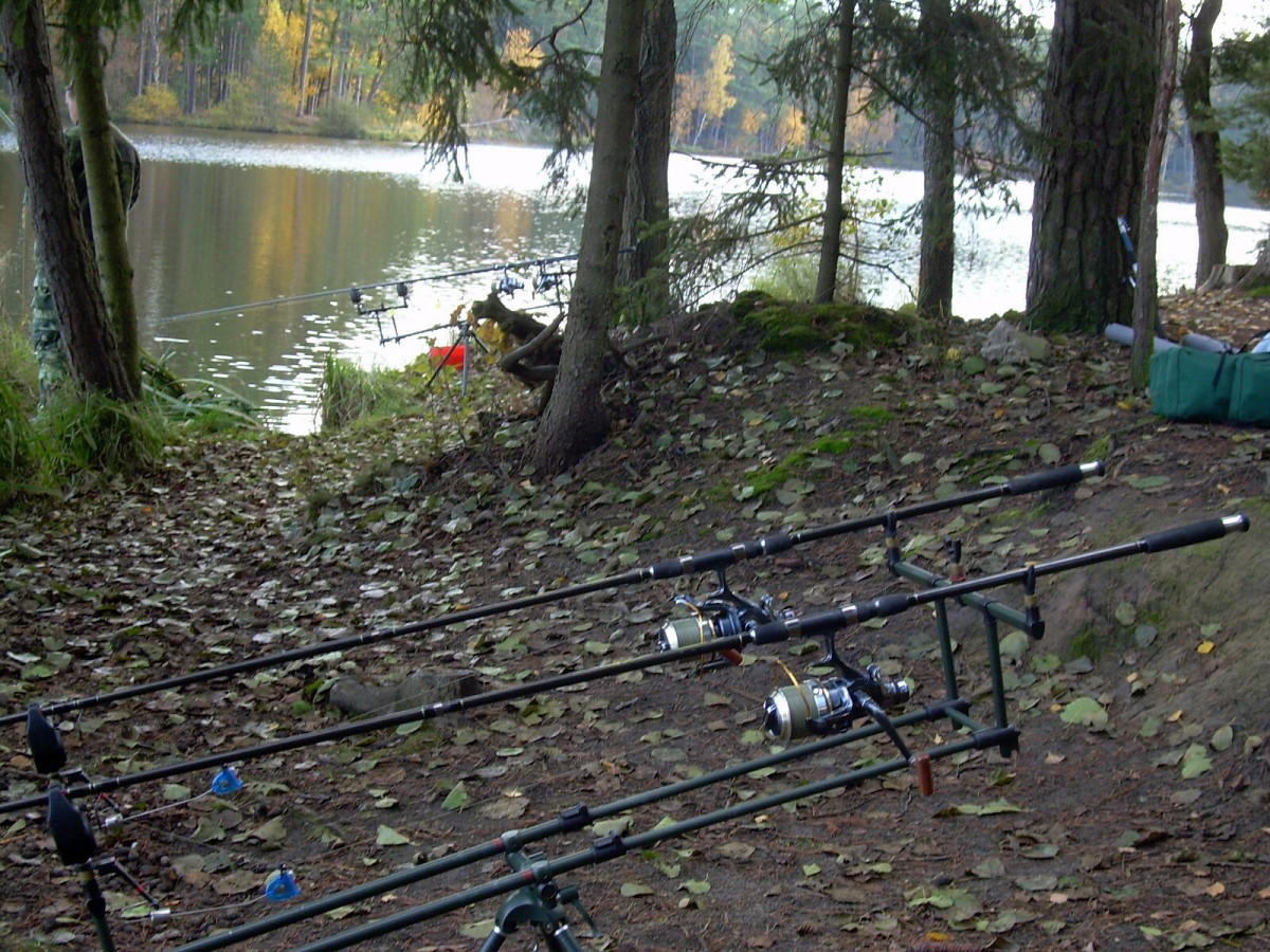 Kanclíř 30.10.2009.