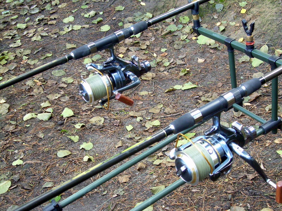 Kanclíř 30.10.2009.