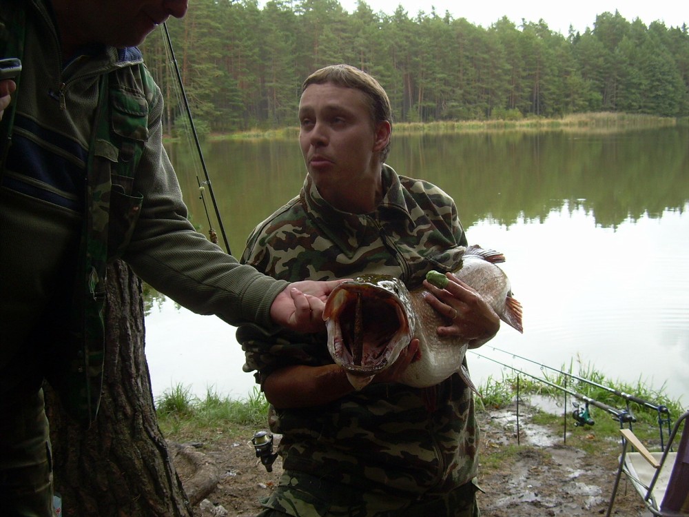 img00092.jpg