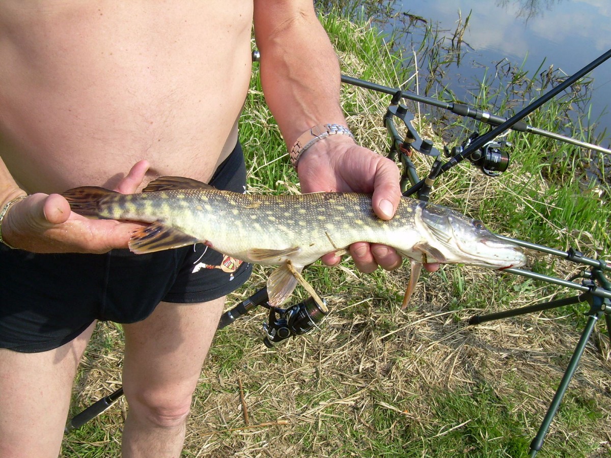 Hamerský potok 14.4.