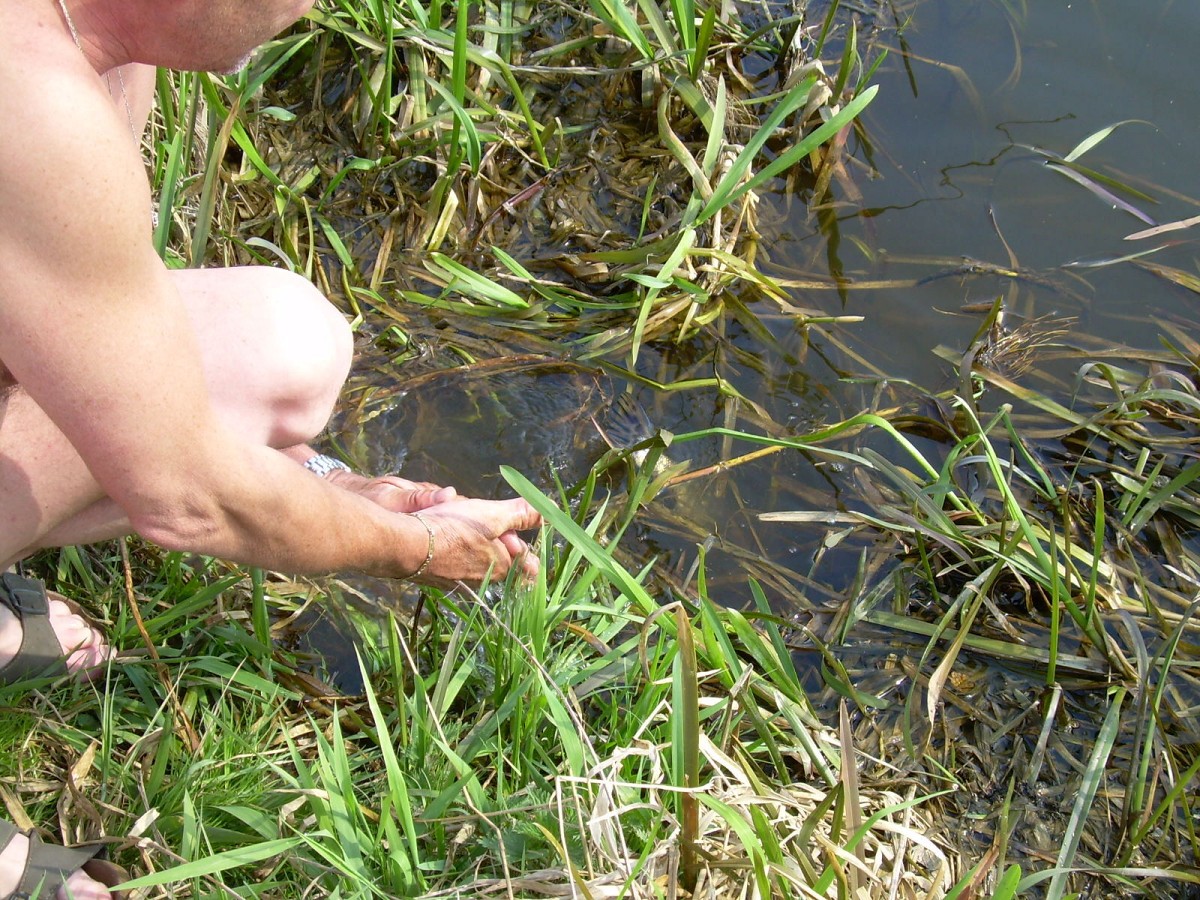 Hamerský potok 14.4.