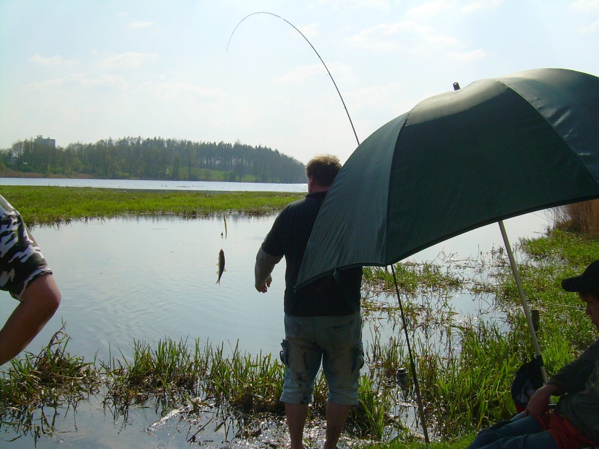 Hamerský potok 14.4.
