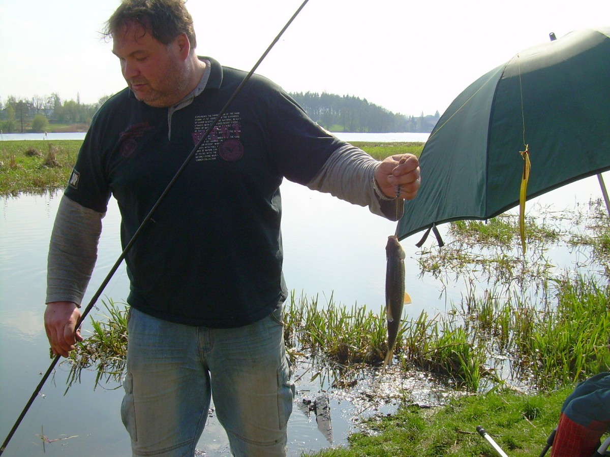 Hamerský potok 14.4.