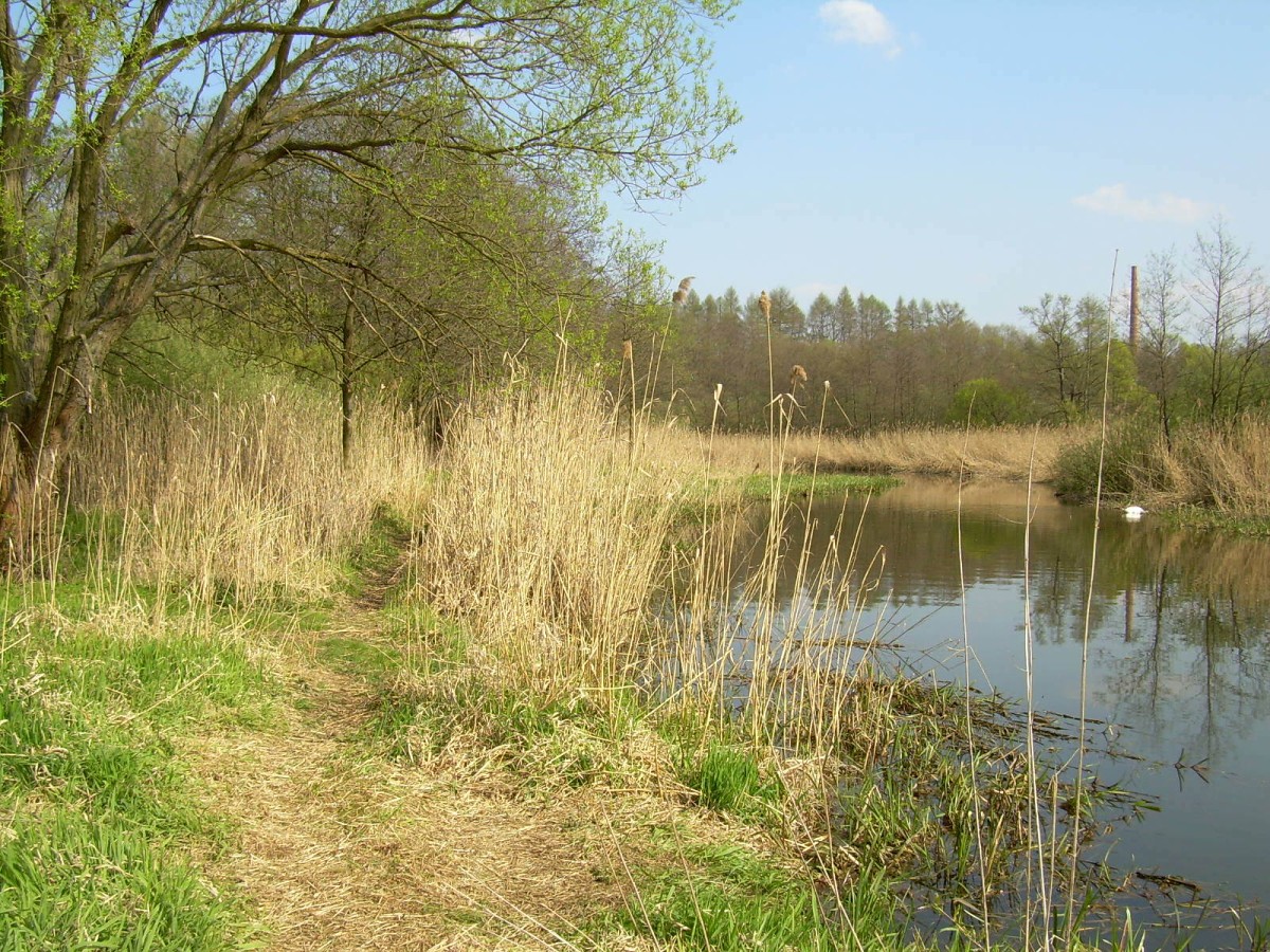 Hamerský potok 14.4.
