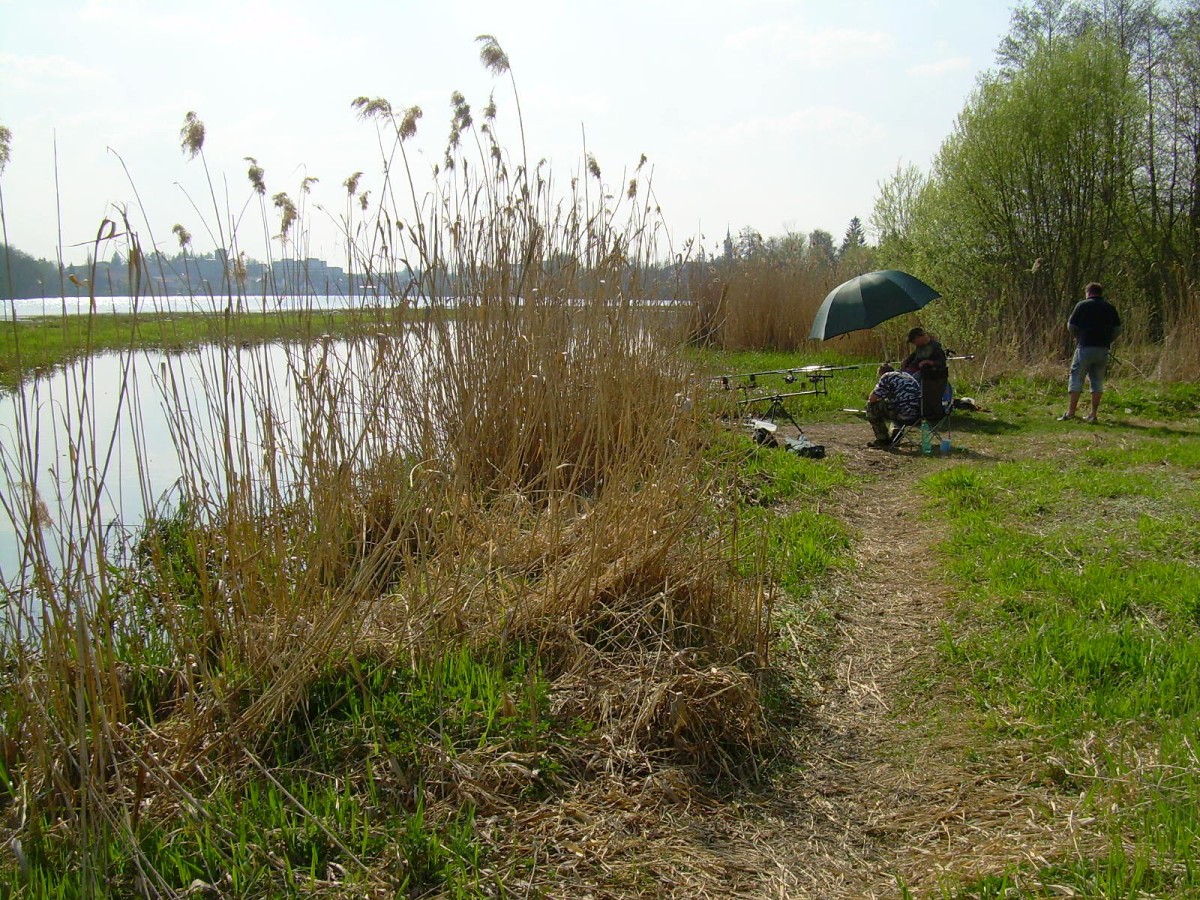 Hamerský potok 14.4.
