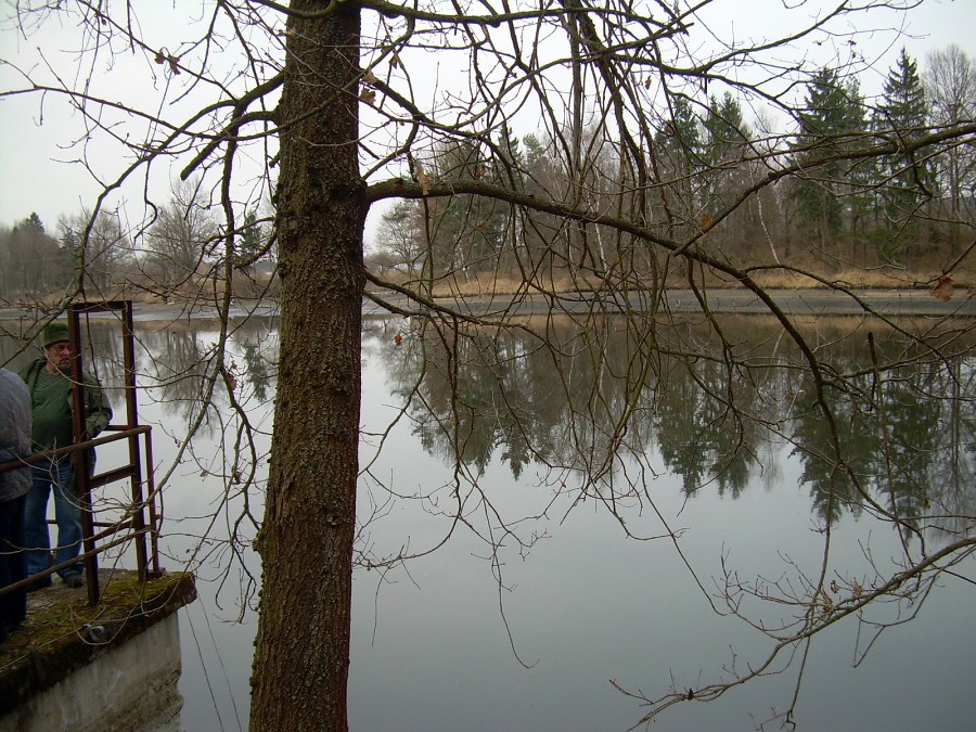 Malikovska 25.3.2011.