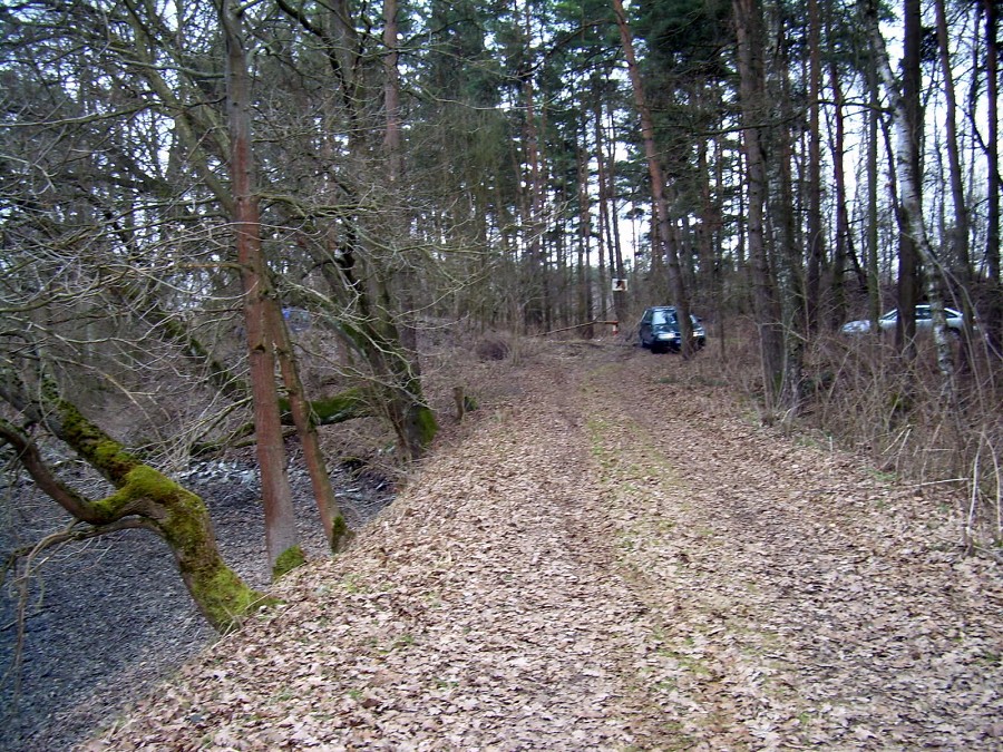 Malikovska 25.3.2011.