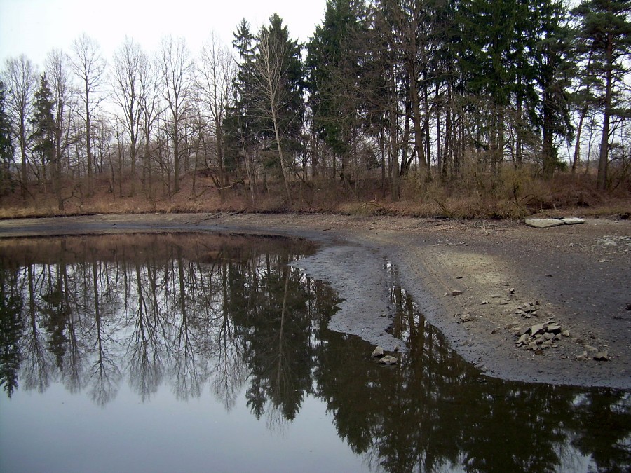 Malikovska 25.3.2011.