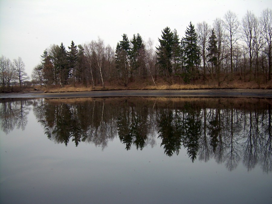 Malikovska 25.3.2011.