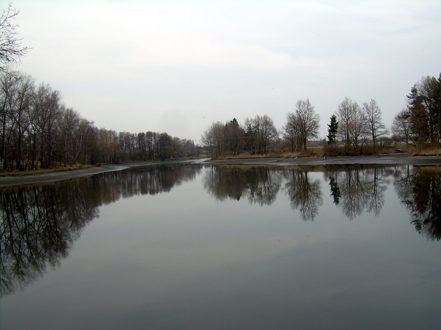 Malikovska 25.3.2011.