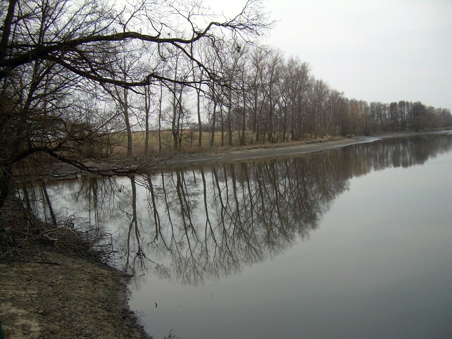 Malikovska 25.3.2011.