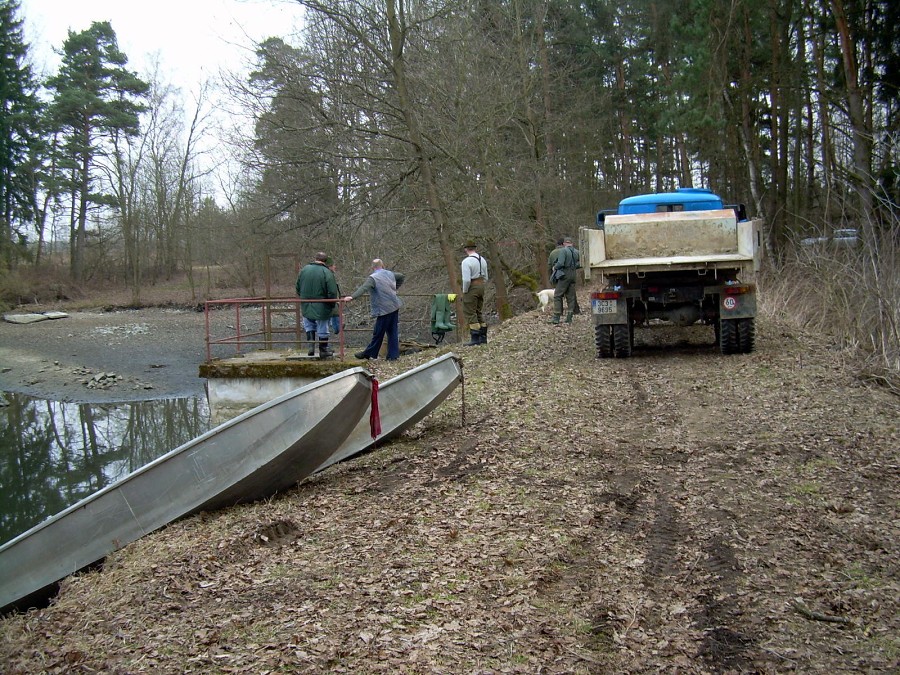 Malikovska 25.3.2011.